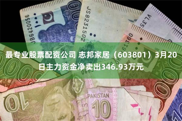最专业股票配资公司 志邦家居（603801）3月20日主力资金净卖出346.93万元
