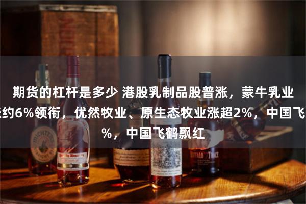 期货的杠杆是多少 港股乳制品股普涨，蒙牛乳业绩后涨约6%领衔，优然牧业、原生态牧业涨超2%，中国飞鹤