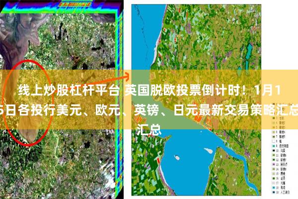 线上炒股杠杆平台 英国脱欧投票倒计时！1月15日各投行美元、欧元、英镑、日元最新交易策略汇总