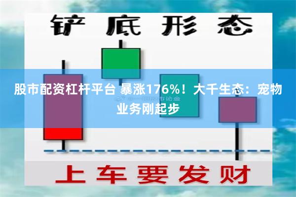 股市配资杠杆平台 暴涨176%！大千生态：宠物业务刚起步
