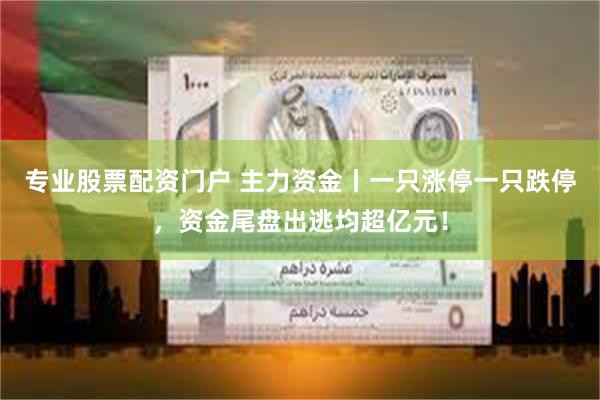 专业股票配资门户 主力资金丨一只涨停一只跌停，资金尾盘出逃均超亿元！