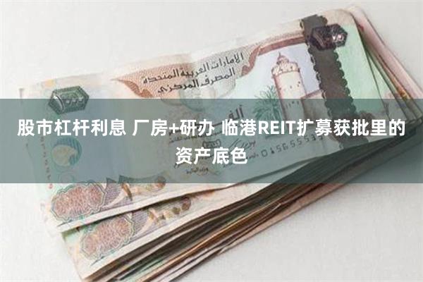 股市杠杆利息 厂房+研办 临港REIT扩募获批里的资产底色