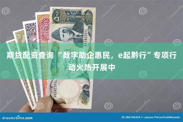 期货配资查询 “数字助企惠民，e起黔行”专项行动火热开展中