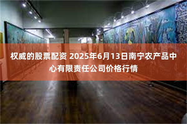 权威的股票配资 2025年6月13日南宁农产品中心有限责任公司价格行情