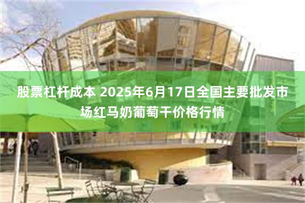 股票杠杆成本 2025年6月17日全国主要批发市场红马奶葡萄干价格行情