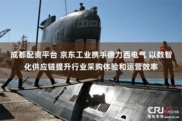 成都配资平台 京东工业携手德力西电气 以数智化供应链提升行业采购体验和运营效率