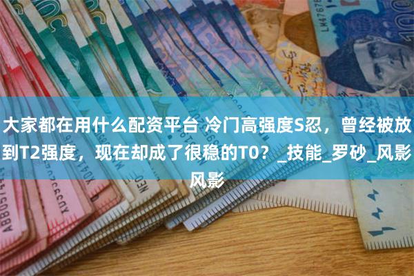 大家都在用什么配资平台 冷门高强度S忍，曾经被放到T2强度，现在却成了很稳的T0？_技能_罗砂_风影