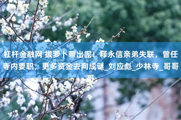 杠杆金融网 拔萝卜带出泥！释永信亲弟失联，曾任寺内要职，更多资金去向成谜_刘应彪_少林寺_哥哥