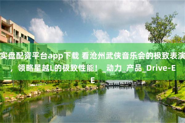 实盘配资平台app下载 看沧州武侠音乐会的极致表演，领略星越L的极致性能！_动力_产品_Drive-
