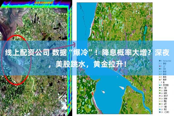 线上配资公司 数据“爆冷”！降息概率大增？深夜，美股跳水，黄金拉升！