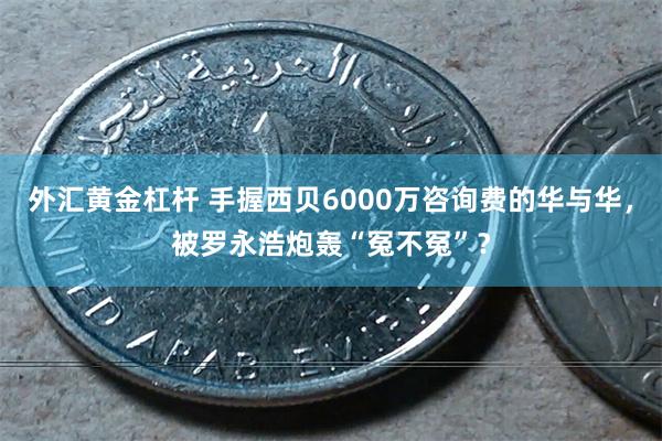 外汇黄金杠杆 手握西贝6000万咨询费的华与华，被罗永浩炮轰“冤不冤”？