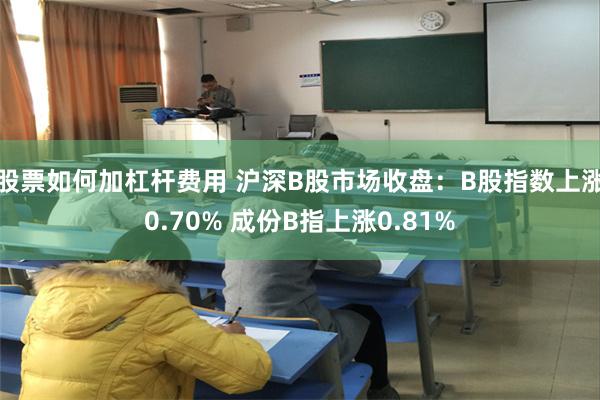 股票如何加杠杆费用 沪深B股市场收盘：B股指数上涨0.70% 成份B指上涨0.81%